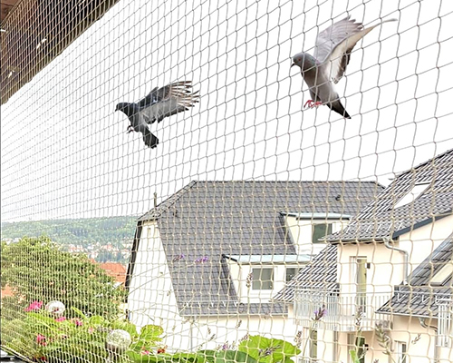 Pigeon Net Installation